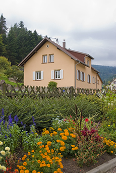 Locations en Alsace à Wangenbourg Engenthal